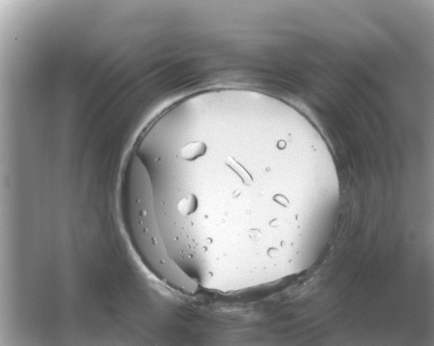 X0000066021147200603312042