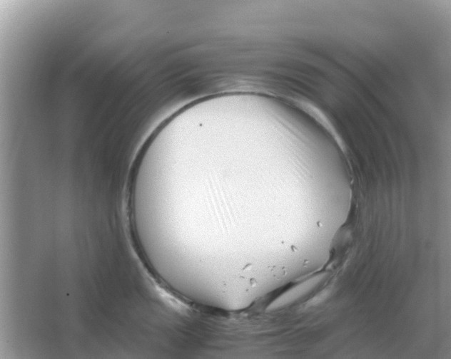 X0000066021149200603312042