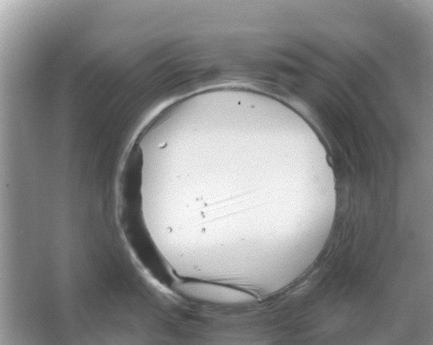 X0000066021151200603312042