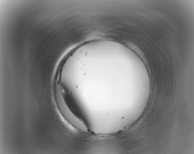 X0000066021152200603312042