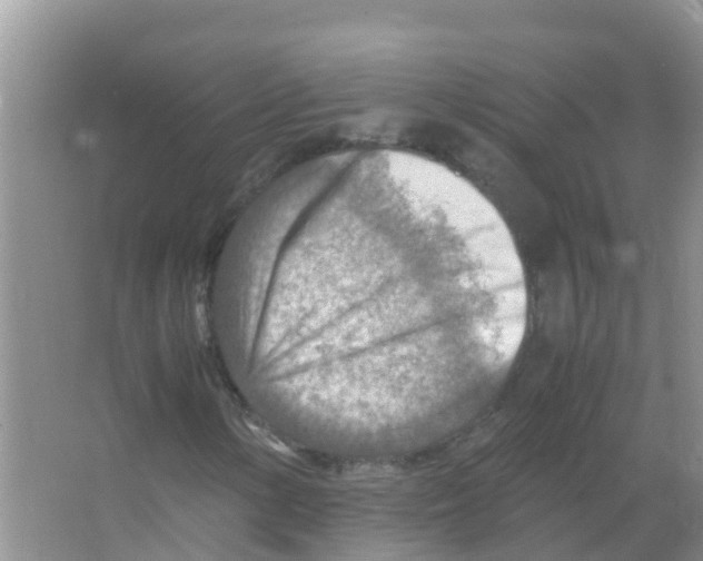 X0000066021154200603312041