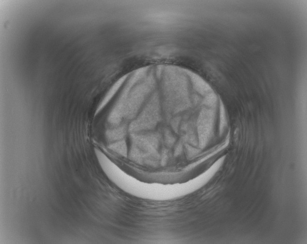 X0000066021156200603312041