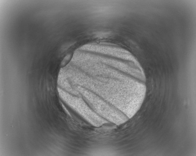 X0000066021158200603312041