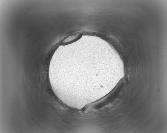 X0000066021159200603312041