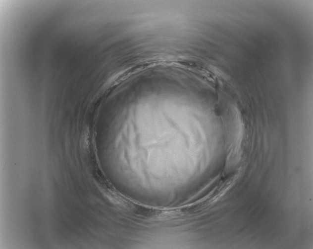 X0000066021161200603312041