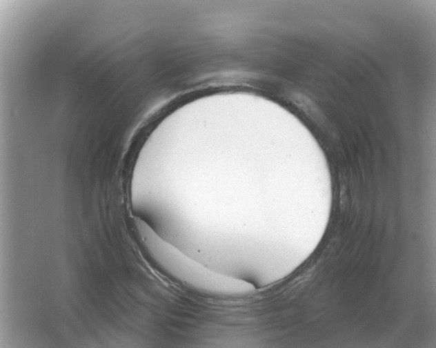 X0000066021164200603312041