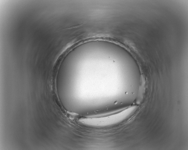 X0000066021165200603312041