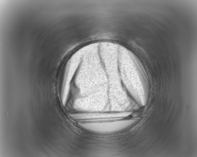 X0000066021166200603312041