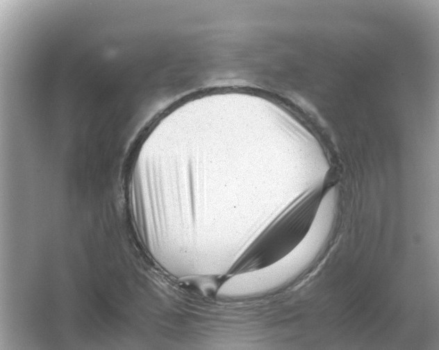 X0000066021167200603312041