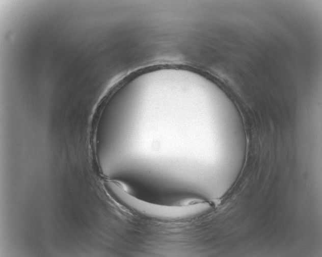 X0000066021168200603312041