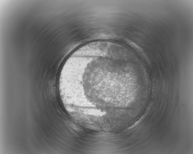 X0000066021170200603312041