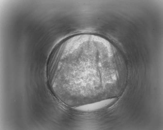 X0000066021174200603312041