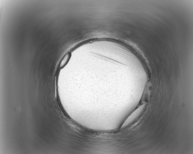 X0000066021175200603312041