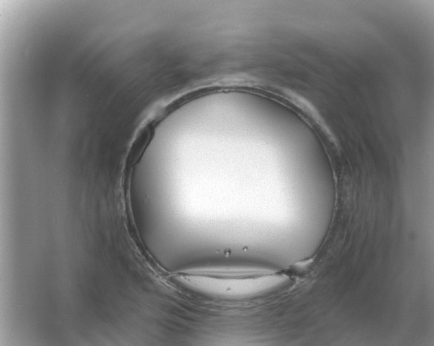 X0000066021176200603312041