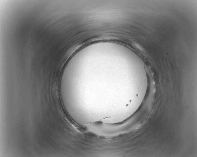 X0000066021177200603312041