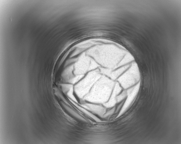 X0000066021178200603312041