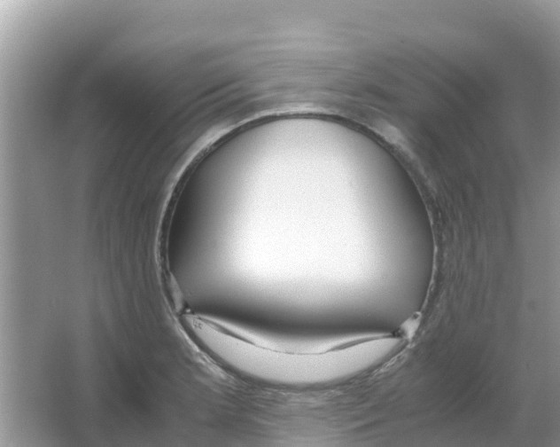 X0000066021181200603312041