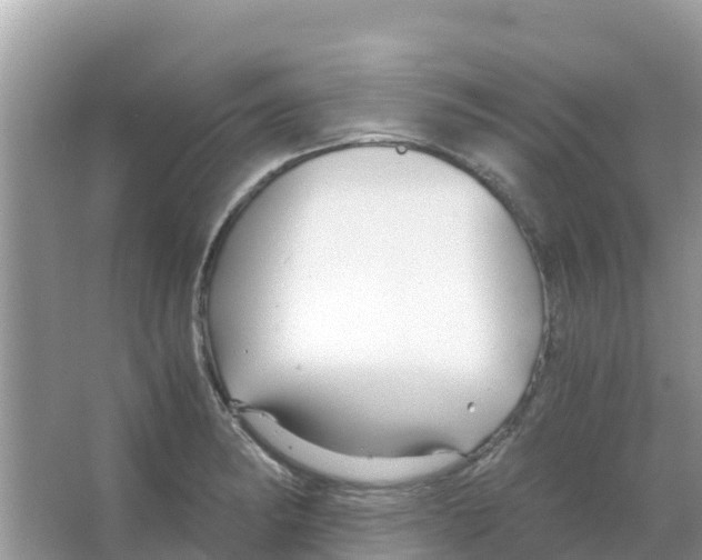 X0000066021182200603312041