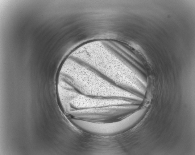 X0000066021184200603312041