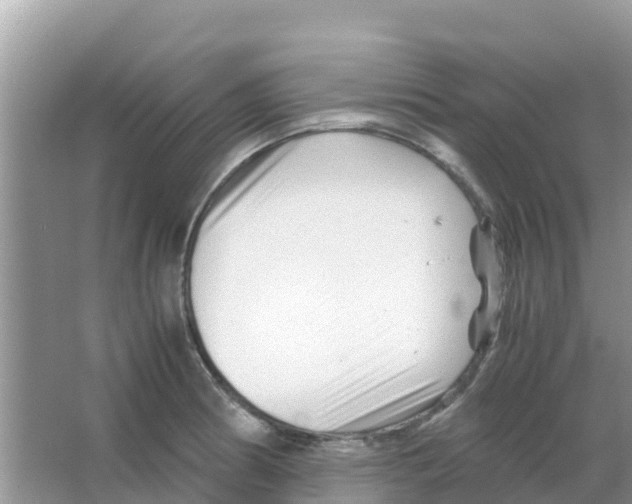 X0000066021186200603312041