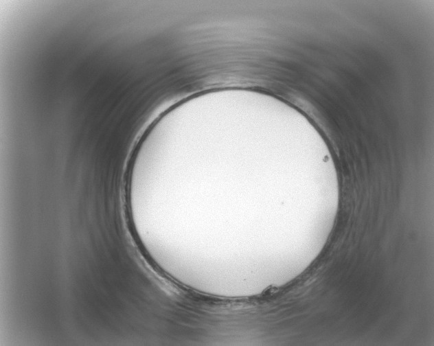 X0000066021187200603312041