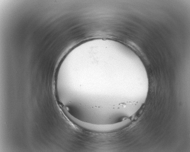 X0000066021188200603312041