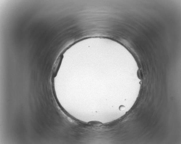 X0000066021189200603312041