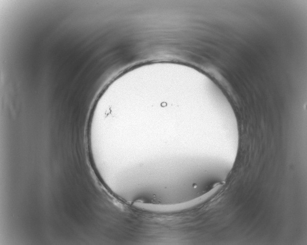 X0000066021191200603312041