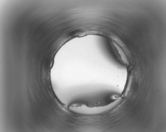 X0000066021193200603312041