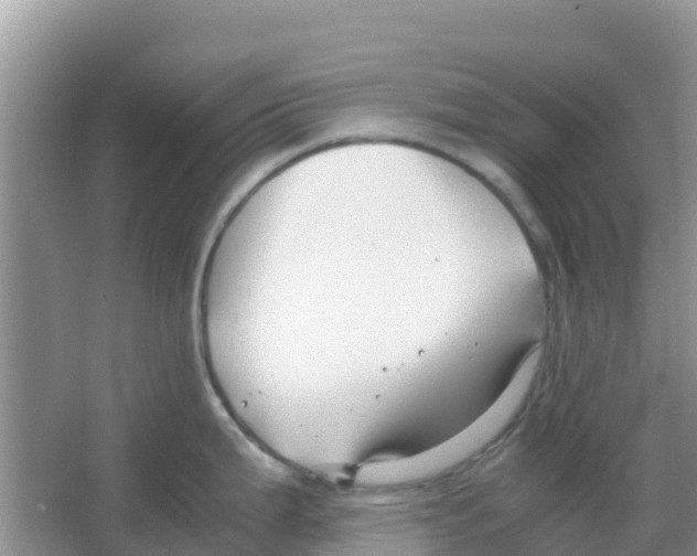 X0000066021199200603312041