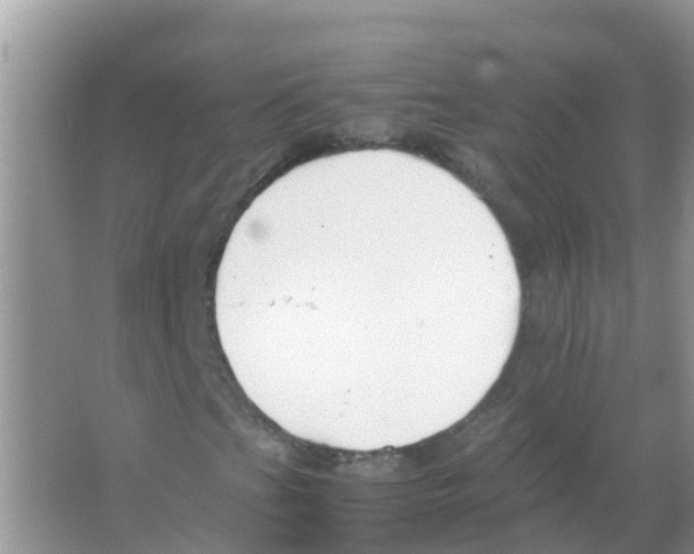 X0000066021201200603312040