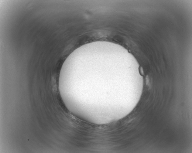 X0000066021203200603312040