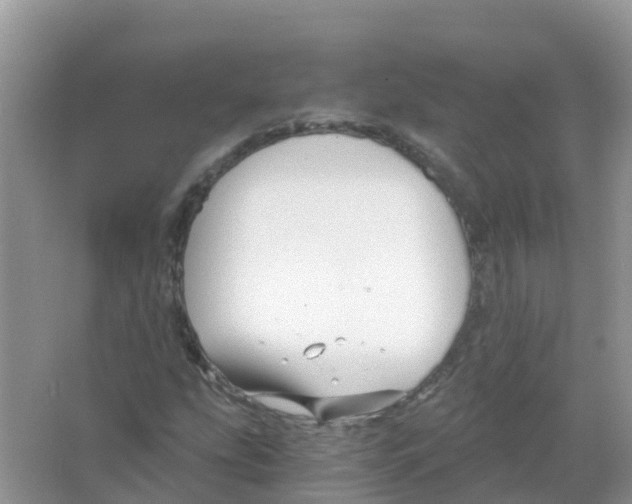 X0000066021207200603312040