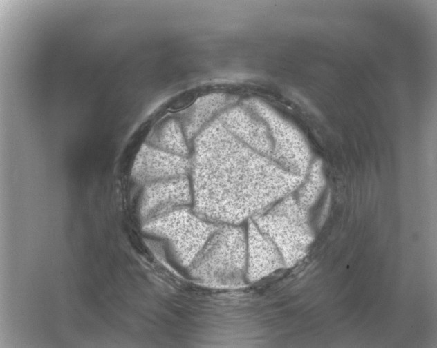 X0000066021208200603312040