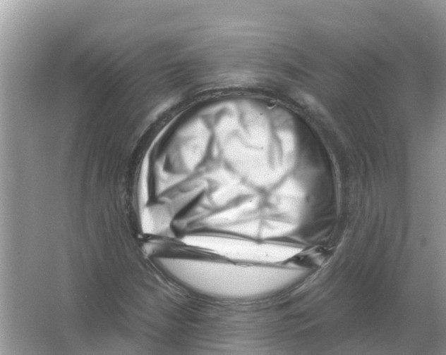 X0000066021210200603312040