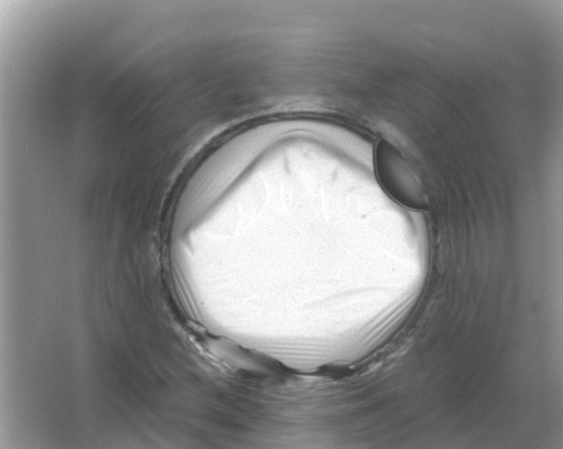 X0000066021212200603312040