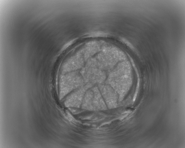 X0000066021213200603312040