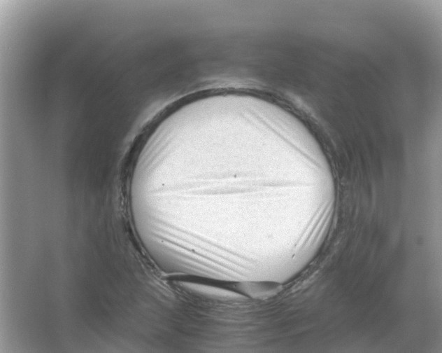 X0000066021215200603312040