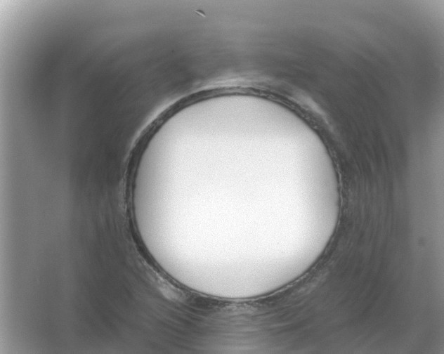 X0000066021216200603312040