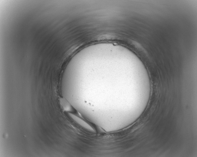 X0000066021217200603312040