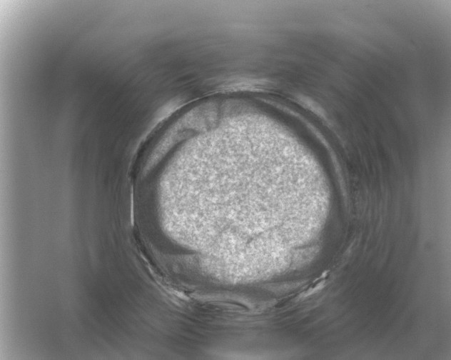 X0000066021219200603312040