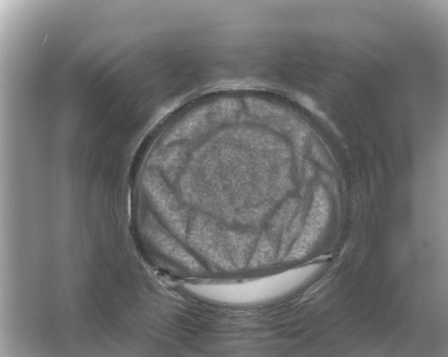 X0000066021221200603312040