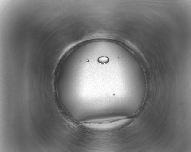 X0000066021222200603312040