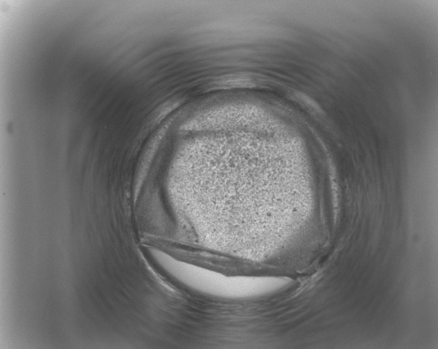 X0000066021225200603312040