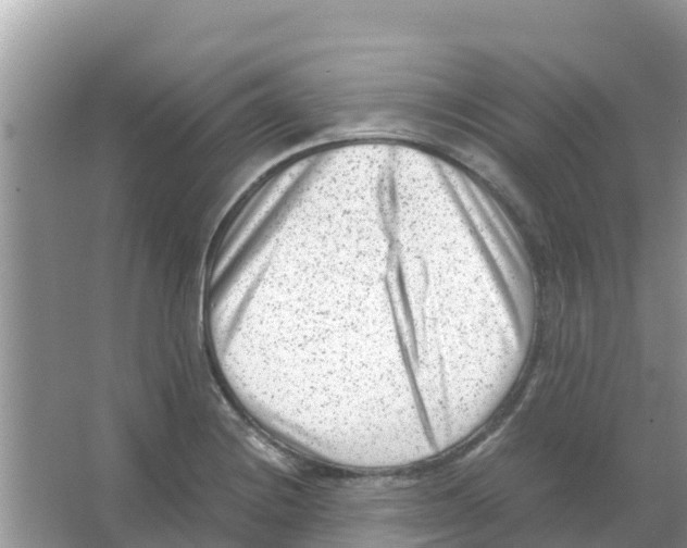 X0000066021228200603312040