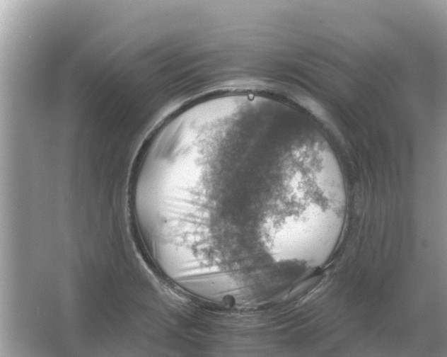 X0000066021229200603312040