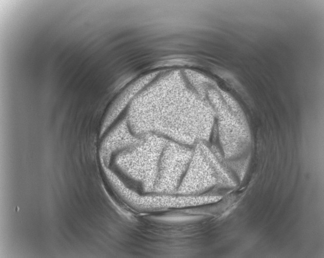 X0000066021233200603312040