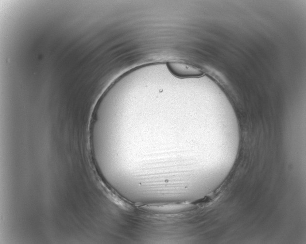 X0000066021236200603312040