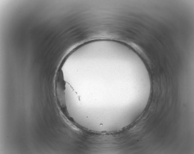 X0000066021238200603312040