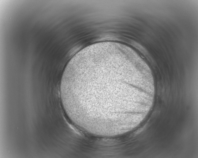 X0000066021241200603312040